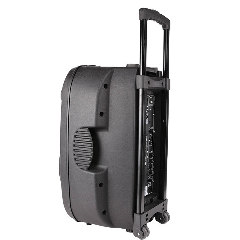 先科(sast)1052d 12寸户外便携移动音响 大功率广场舞拉杆音箱 舞台