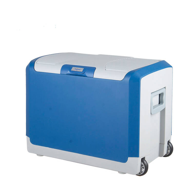 婷微40l车载冰箱车家两用小冰箱制冷迷你汽车冷暖箱两用家用特价 蓝色