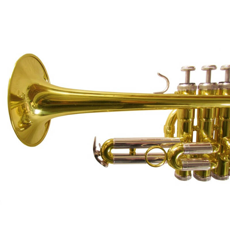 奇宝居 高音小号 降b调 考级乐器