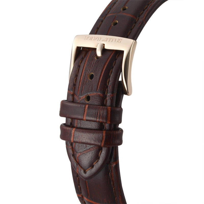 titus铁达时「天长地久」系列精钢自动机械男士腕表/咖啡色皮革表带06