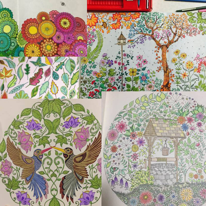 得力(deli)桶装彩色铅笔 秘密花园填色推荐儿童涂鸦绘画油性彩铅 36色