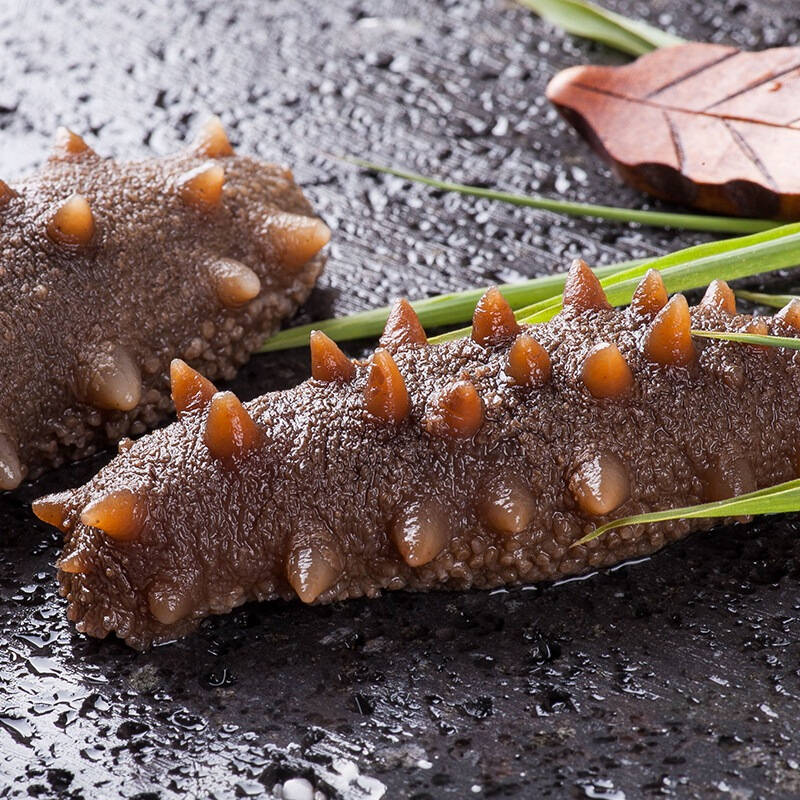 獐子岛 zoneco seafood 大连天赐干海参100g