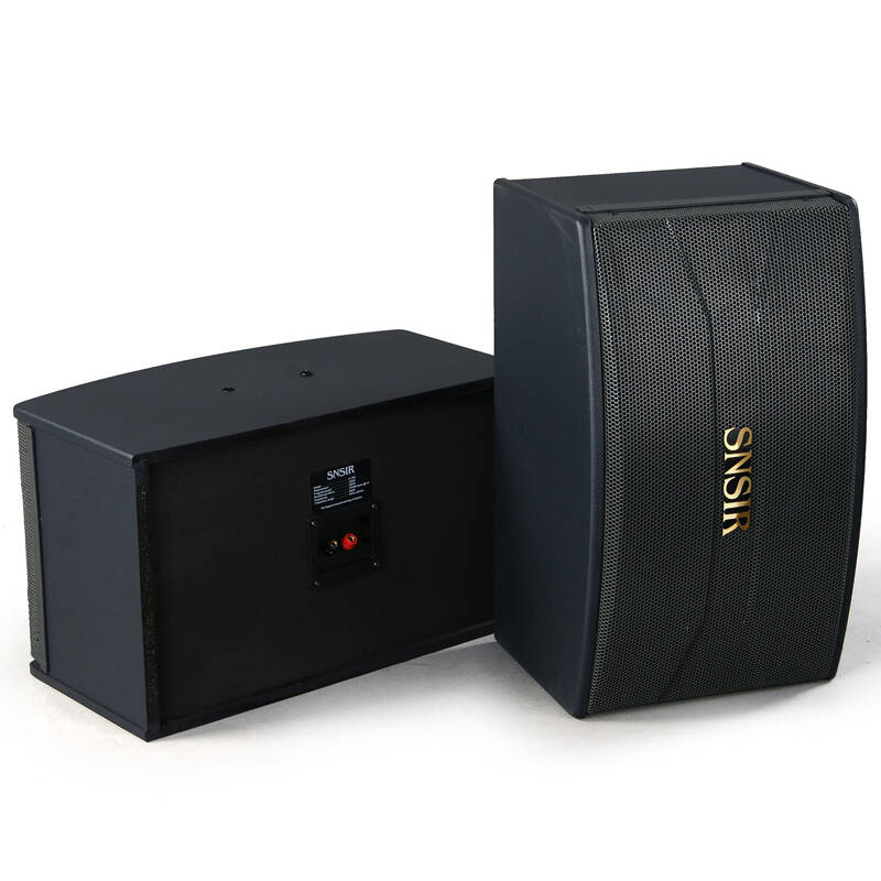 snsir/申士 p46 c360*2一拖四家用ktv音响 专业家庭卡拉ok舞台音箱
