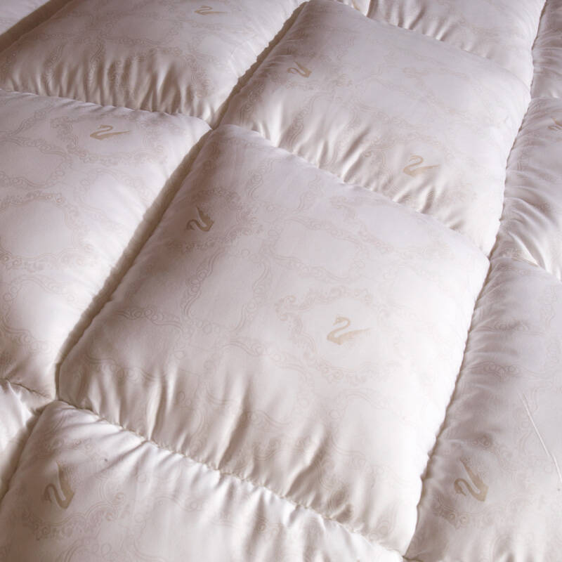 九洲鹿 臻品纤羽透气抗菌舒柔被子 白色 200x230双人春秋被5斤