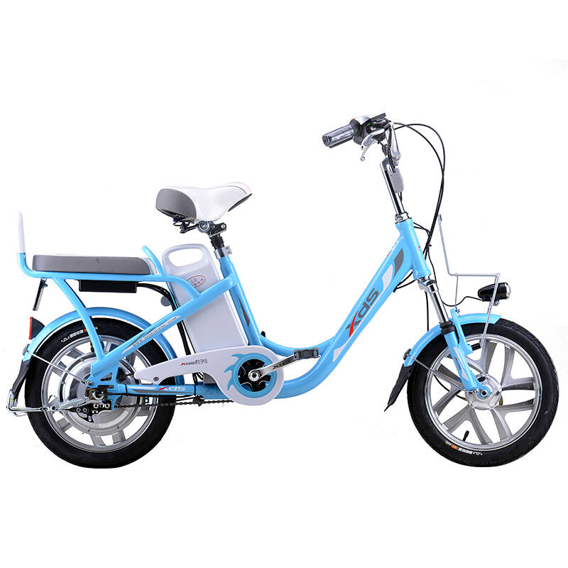 喜德盛电动车 电动自行车48v锂电 锂电池48v电动车 电动自行车 豹子5
