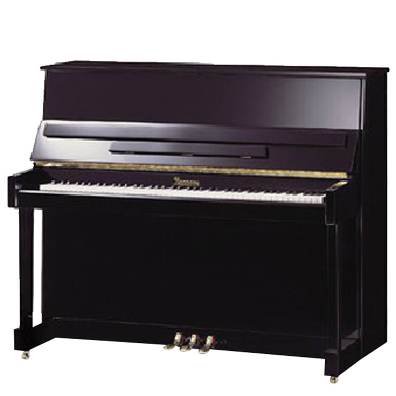 诺汀瀚钢琴hg118t 家用初学考级高端钢琴 专业88键黑色漆面 音色好