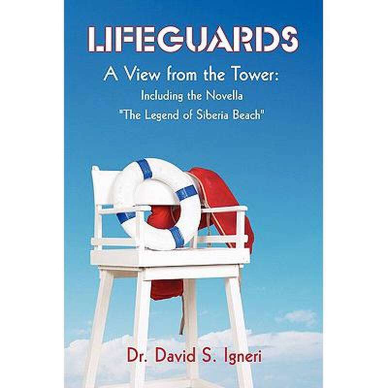 lifeguards: a view from the tower: inclu.