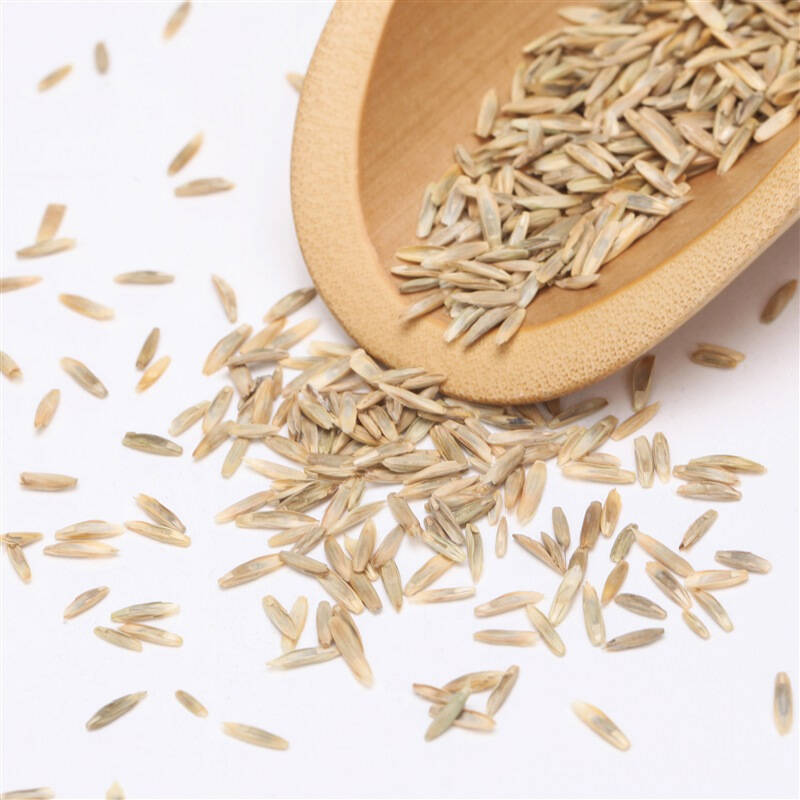 topgreen 麦迪 多年生黑麦草 进口牧用草种子 25kg