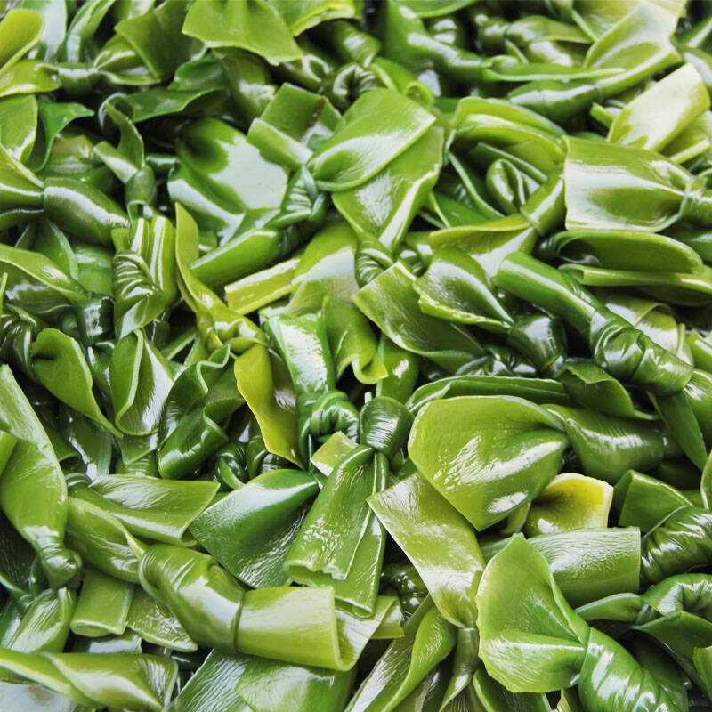 海带结 海带 海菜 海带扣 新鲜海带 大连海产 500g