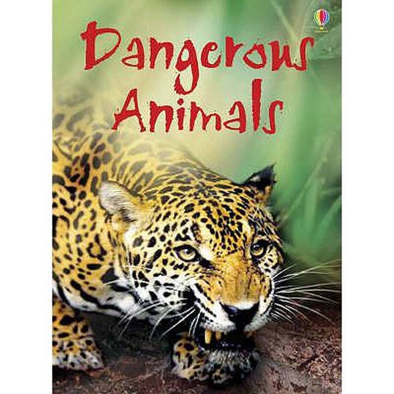 dangerous animals