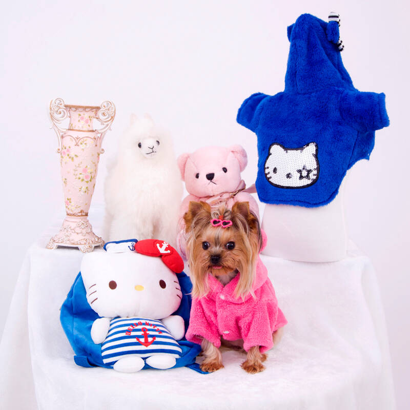 小狗衣服 泰迪金毛秋冬背心可爱衣服 连帽四脚卫衣 hellokitty 白色 l