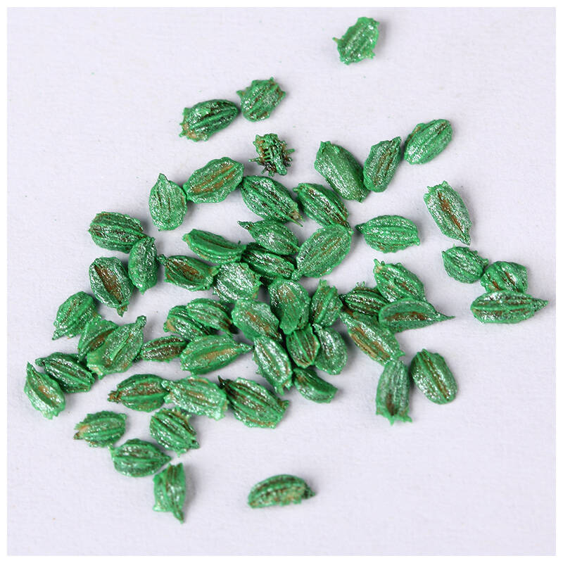 【京东超市】萌吖吖 紫胡萝卜种子 紫色 进口蔬菜种子 50粒/袋