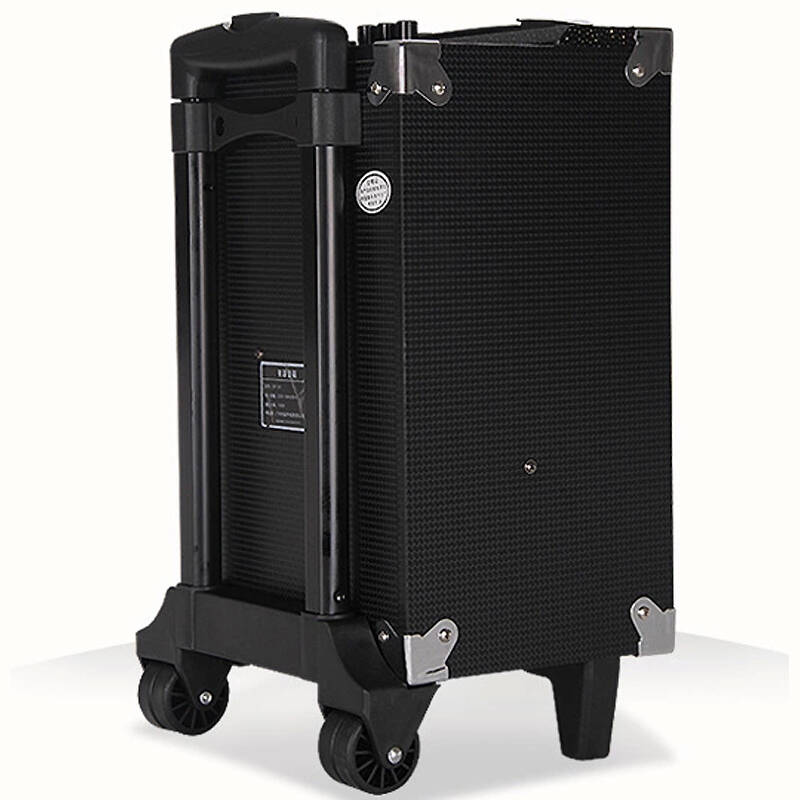 特美声(temeisheng)dp-191 户外广场舞音响8寸大功率充电电瓶音箱插卡