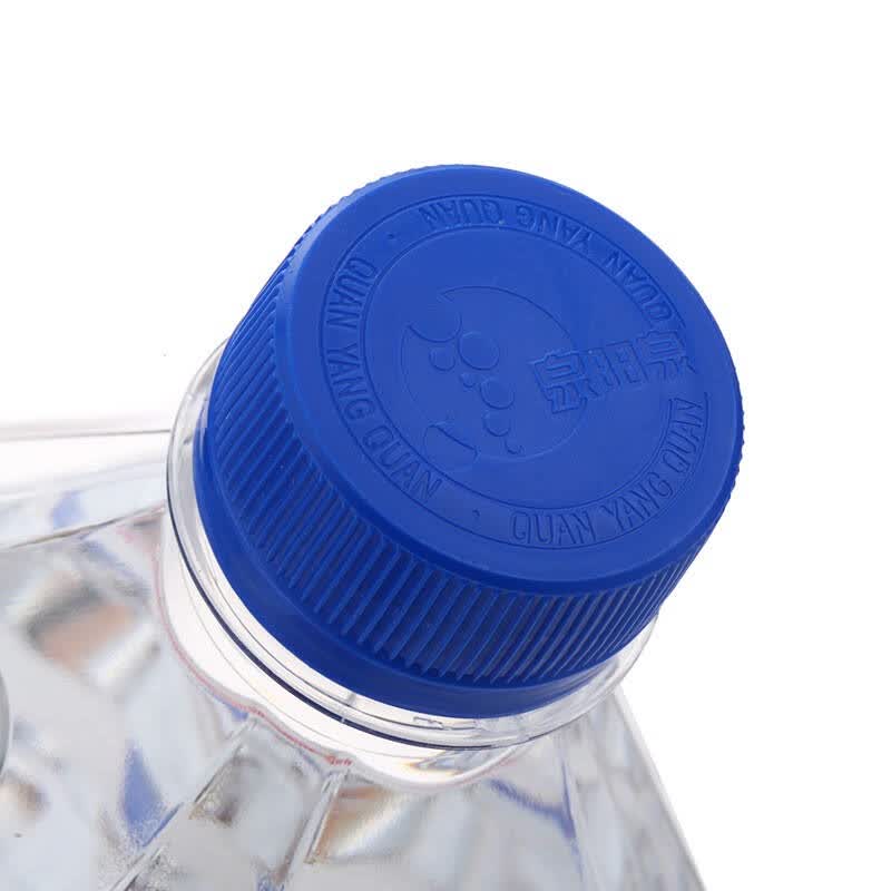 泉阳泉 长白山 泉阳泉天然矿泉水 600ml*24 整箱装