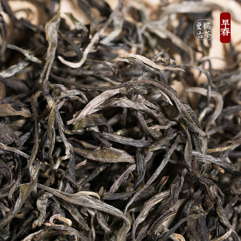 【2016年春茶】书剑 2016年 开春头采 曼糯纯料古树普洱茶 生茶 散茶