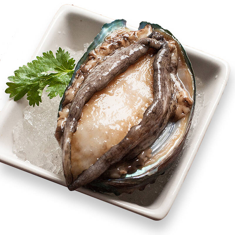 深海鲜鲍七头鲍14只冷冻装 1000g鲍鱼速冻皱纹盘鲍 生鲜水产