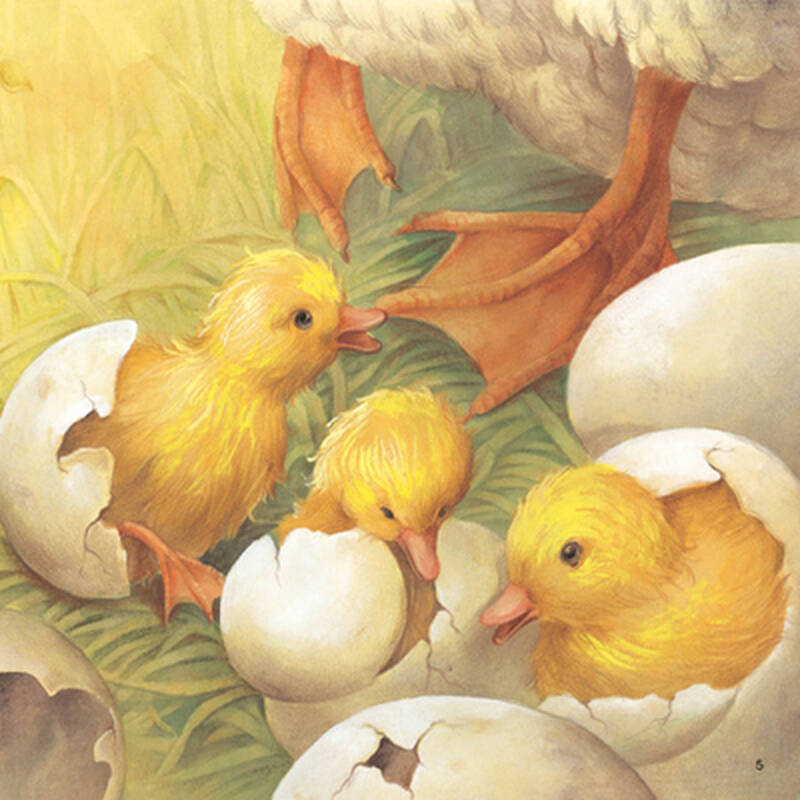 东方沃野:换个角度读经典童话·丑小鸭