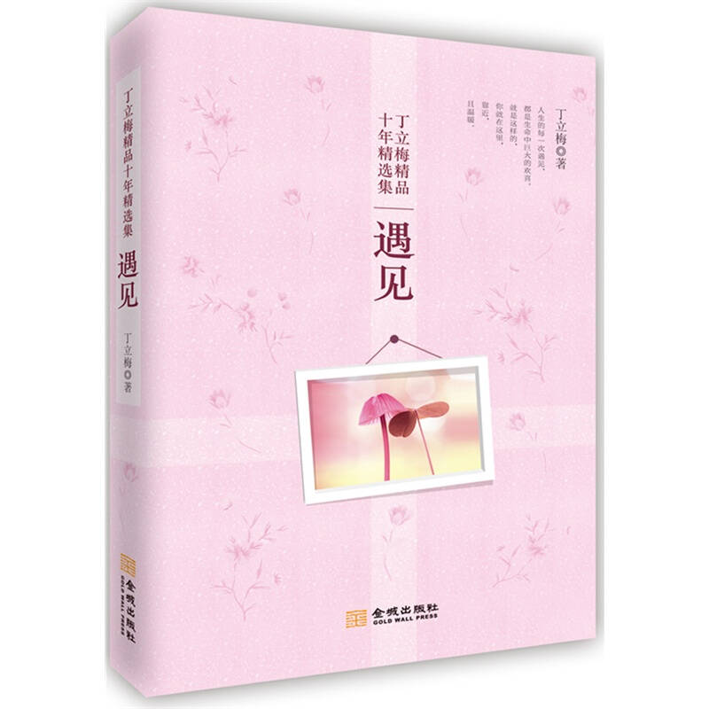 遇见 丁立梅 正版书籍