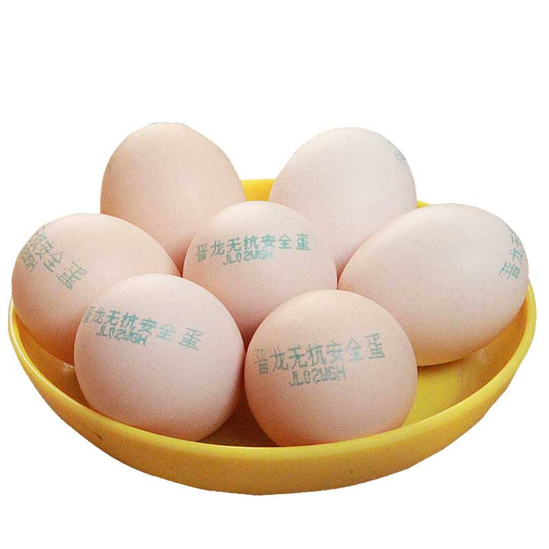 晋龙 无公害新鲜鸡蛋 无抗蛋 16枚/盒