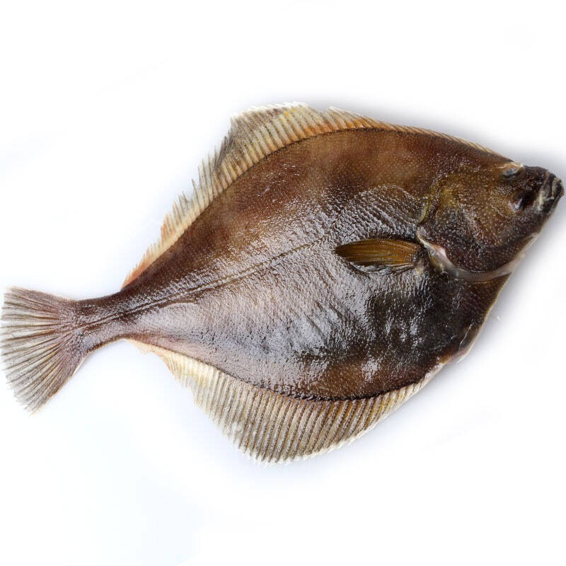 海鲜盛宴(ocean gala)黄金蝶鱼 400g 袋