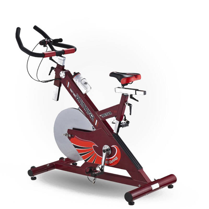 艾威 商用动感单车专业竞技训练家用健身室内减肥自行车静音bc4800 深