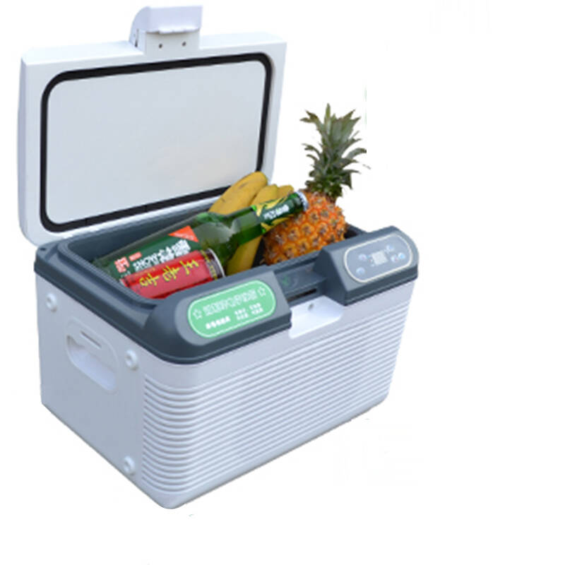 2017-2022年版移动冰箱产业政府战略管理与区域发展战略研究咨询报告