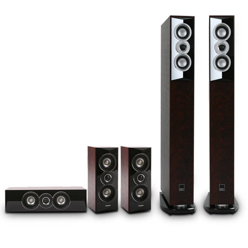 爱浪(avlight)dt2m 家庭影院 含中环和a9功放 5.