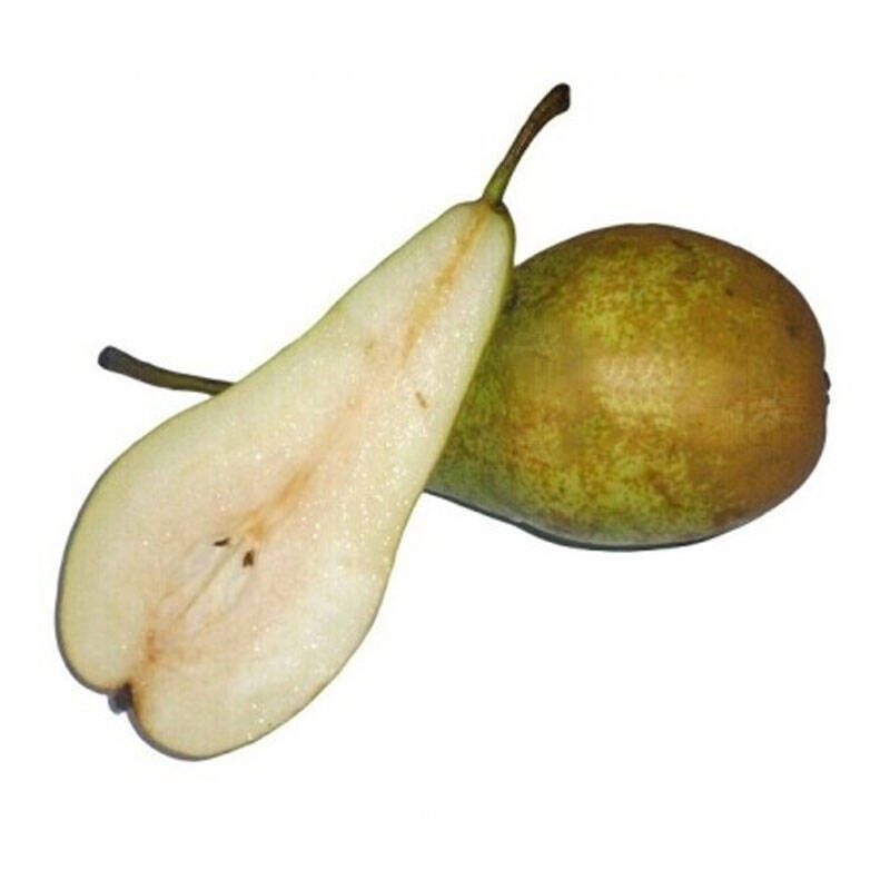 鲜果来了 荷兰青啤梨10只盒装单只220~240g 梨子西洋梨 新鲜水果进口