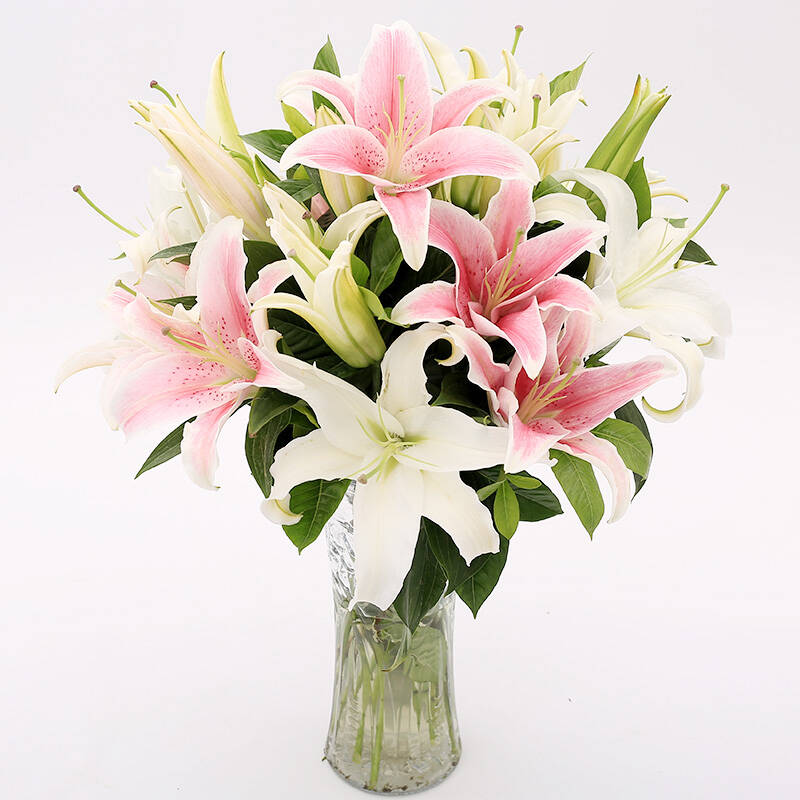 玫瑰花百合花束瓶插花 同城鲜花配送 12朵混色百合花-不含花瓶 平时价