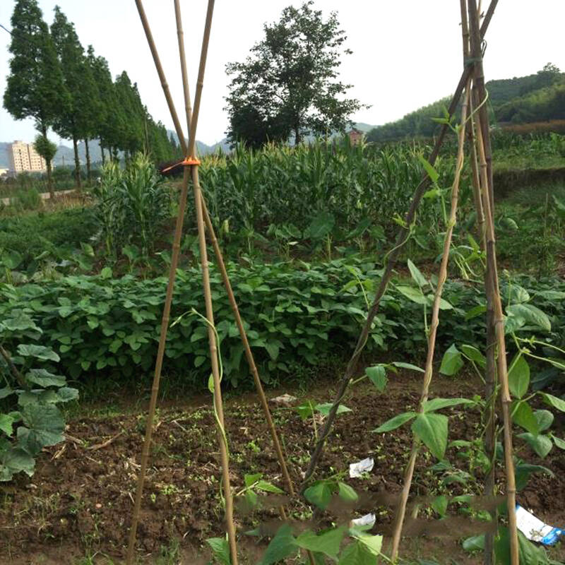 园之助 家庭包塑铁管 竹节包塑铁管 园艺支架 植物支架 爬藤类 11mm*