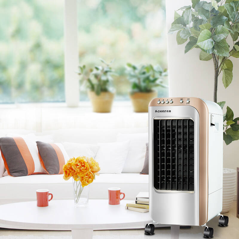 志高(chigo)fsm-12jn冷暖型冷风扇/空调扇/电风扇(金银色)