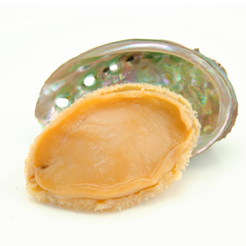 【大连馆】岛礼鲍鱼大连批发野生九孔盘纹鲍 干鲍鱼即食鲍鱼礼盒装