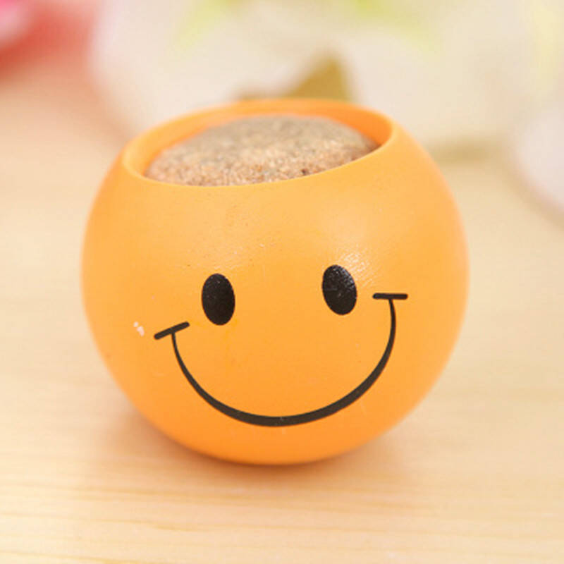 盆栽办公室迷你植物青草种植qq表情草头娃娃桌面生态瓶小盆栽 微笑
