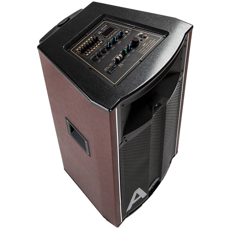 xinsast sm-812(二炮12号)12寸 迷你音响 音响广场舞音箱 户外音响