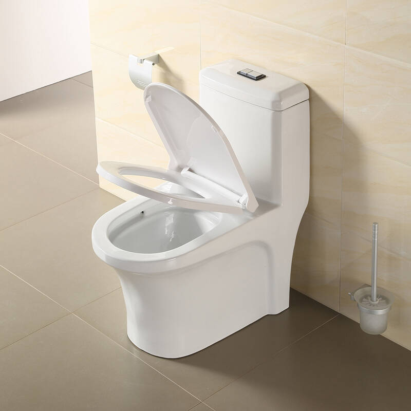 惠鹏卫浴(hpcc)双孔节水缓冲座便器2892抽水马桶坐便器 300坑距(免费