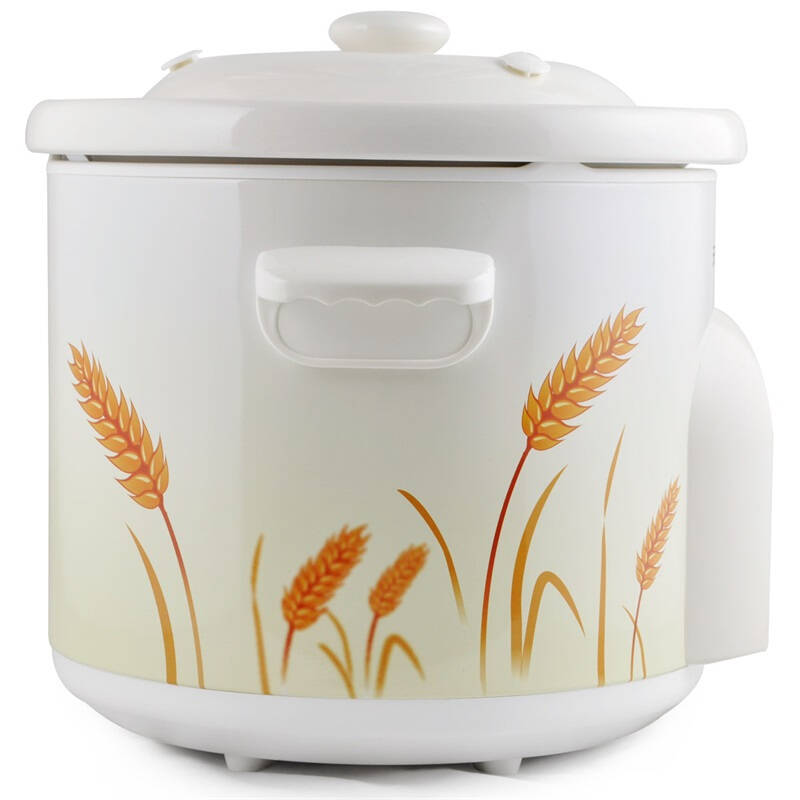 天际(tonze)zzg-w550t电炖锅煮粥锅5l