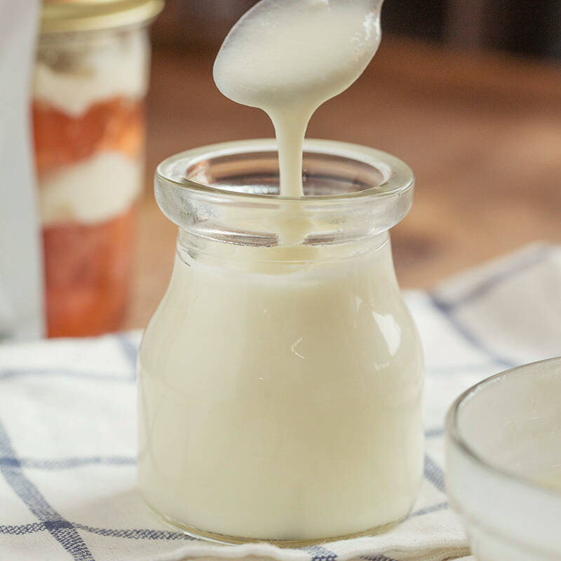 安琪酵母酸奶发酵剂10g酸奶菌粉乳酸菌种益生菌型家用自制酸奶发酵菌