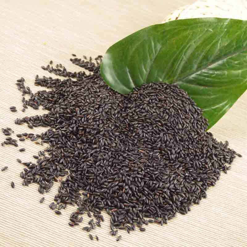 黑大麦的营养价值及功效