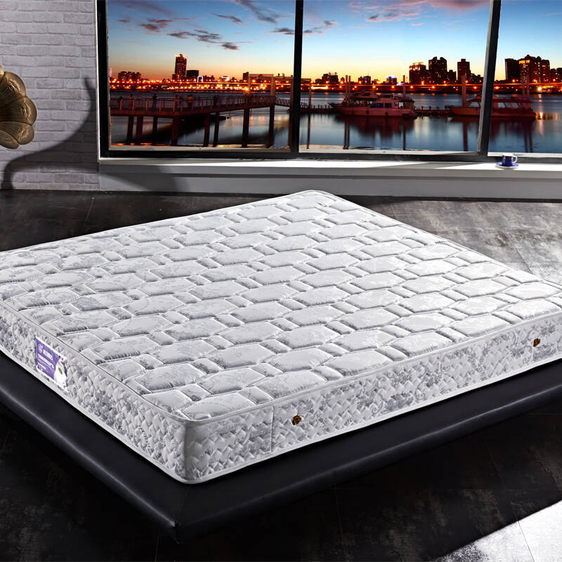 强力床垫棕垫 席梦思弹簧床垫 3cm椰棕床垫 软硬两面弹簧护脊舒适垫