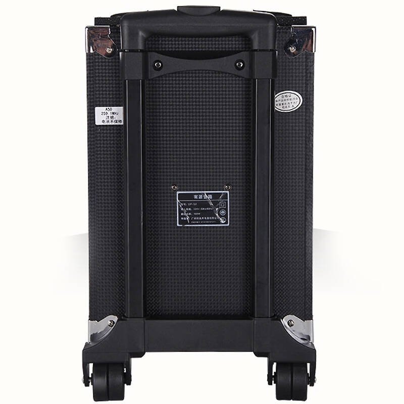 特美声(temeisheng)dp-191 户外广场舞音响8寸大功率充电电瓶音箱插卡