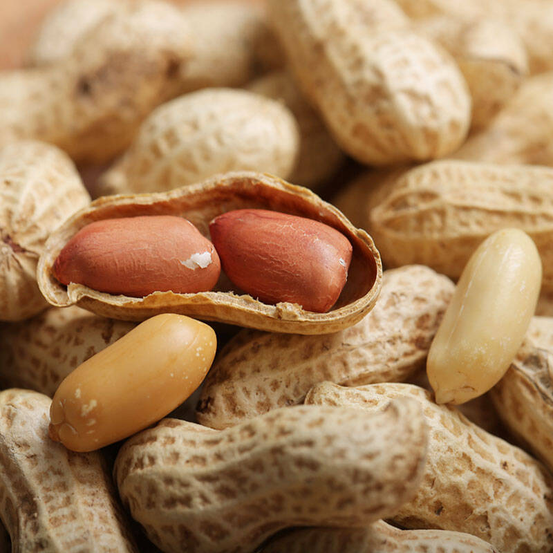 徽记 干果坚果炒货 休闲零食小吃 咸干味带壳煮花生300g