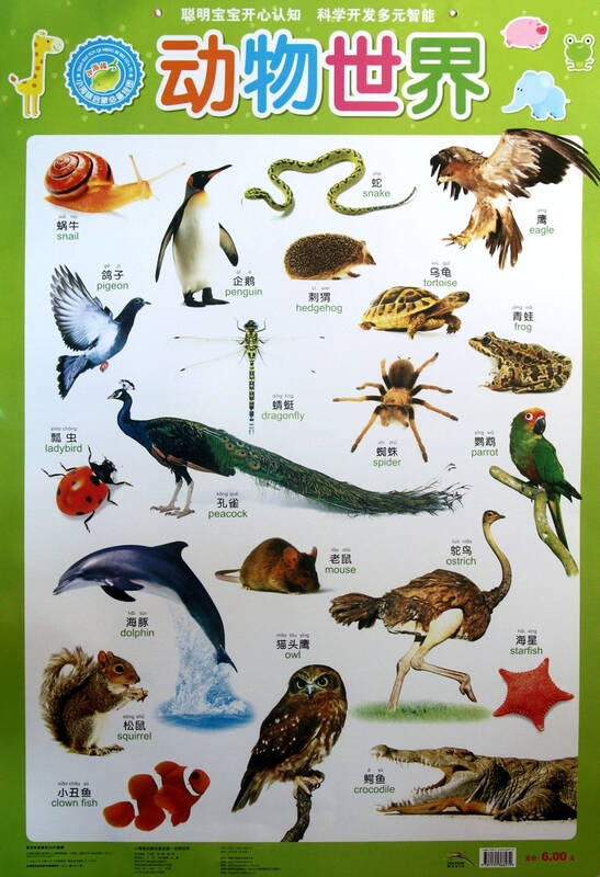 小海豚启蒙必备挂图:动物世界
