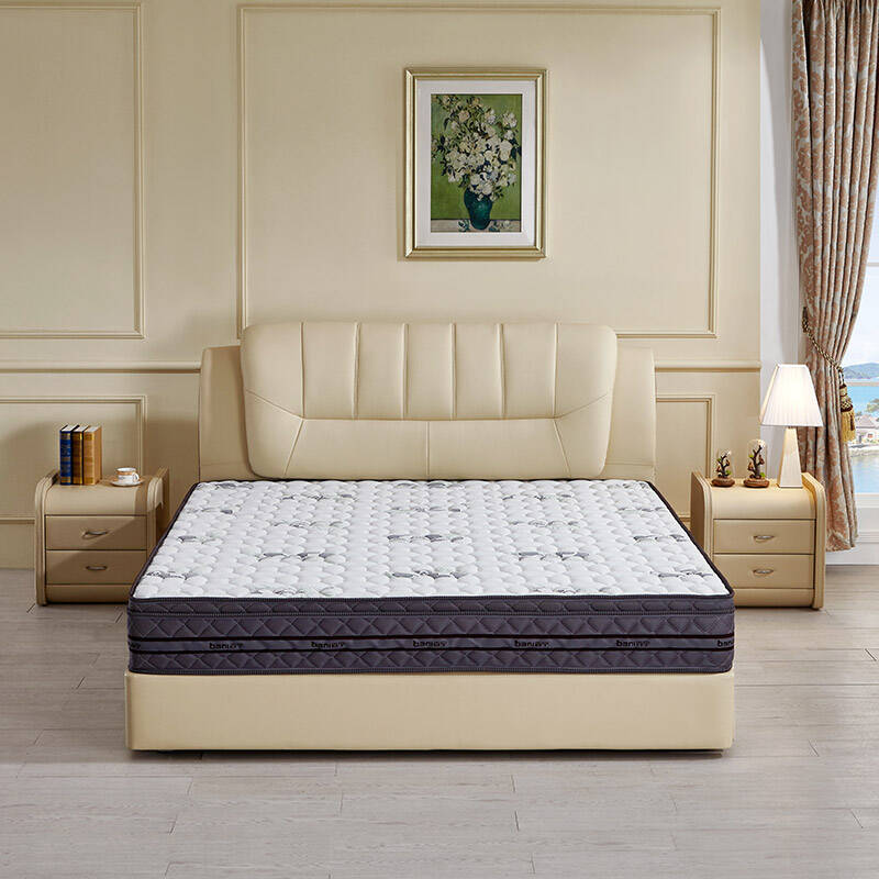 百宁床垫厚 棕垫床垫 海绵椰棕硬床垫 护脊 单人双人弹簧床垫t006