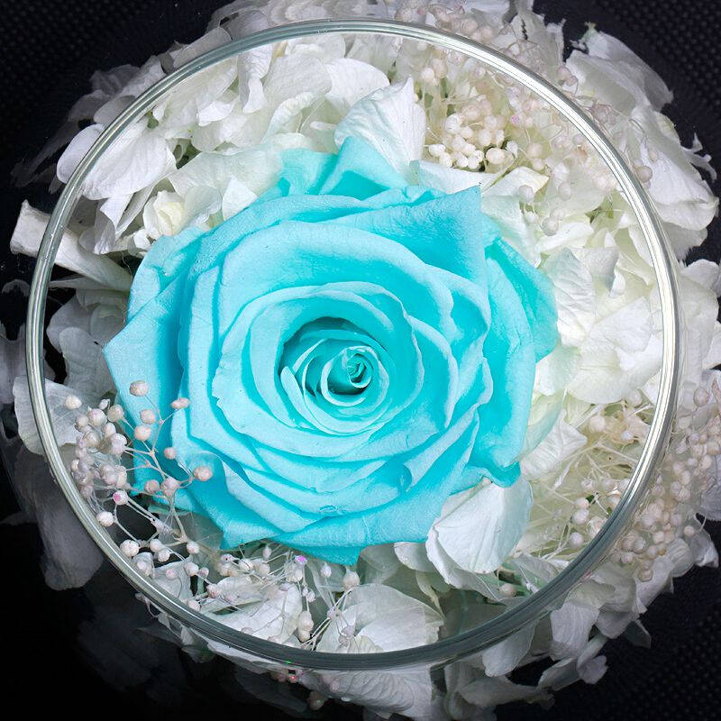 im huahua 鲜花速递 永生花星座许愿瓶带夜灯玫瑰鲜花礼盒 海蓝摩羯