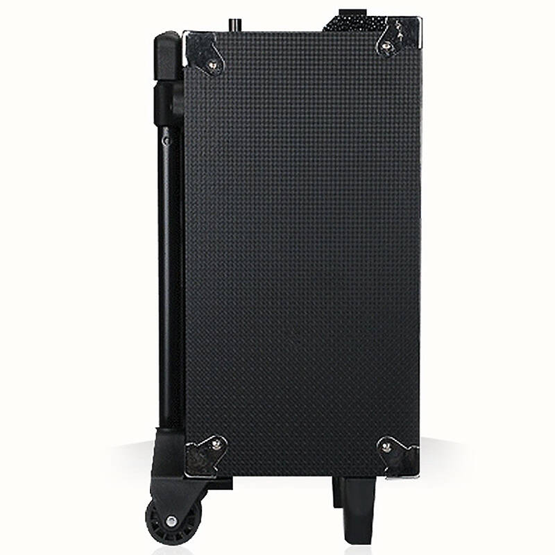 特美声(temeisheng)dp-191 户外广场舞音响8寸大功率充电电瓶音箱插卡