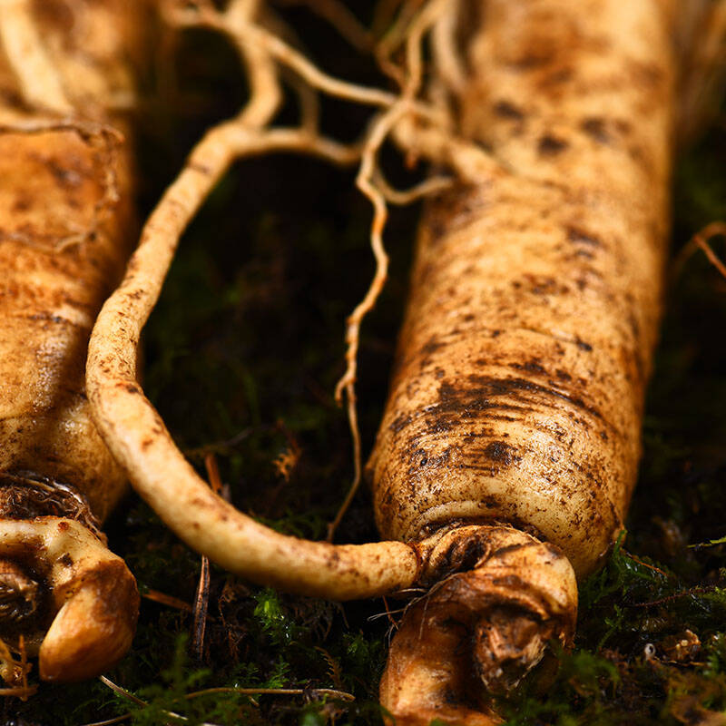 它是"动物中的人参","天然补脑丸",贫血缺钙失眠别错过