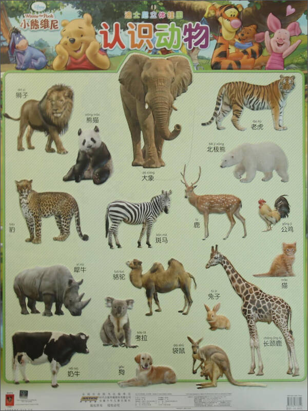 常见的100种动物名称图片