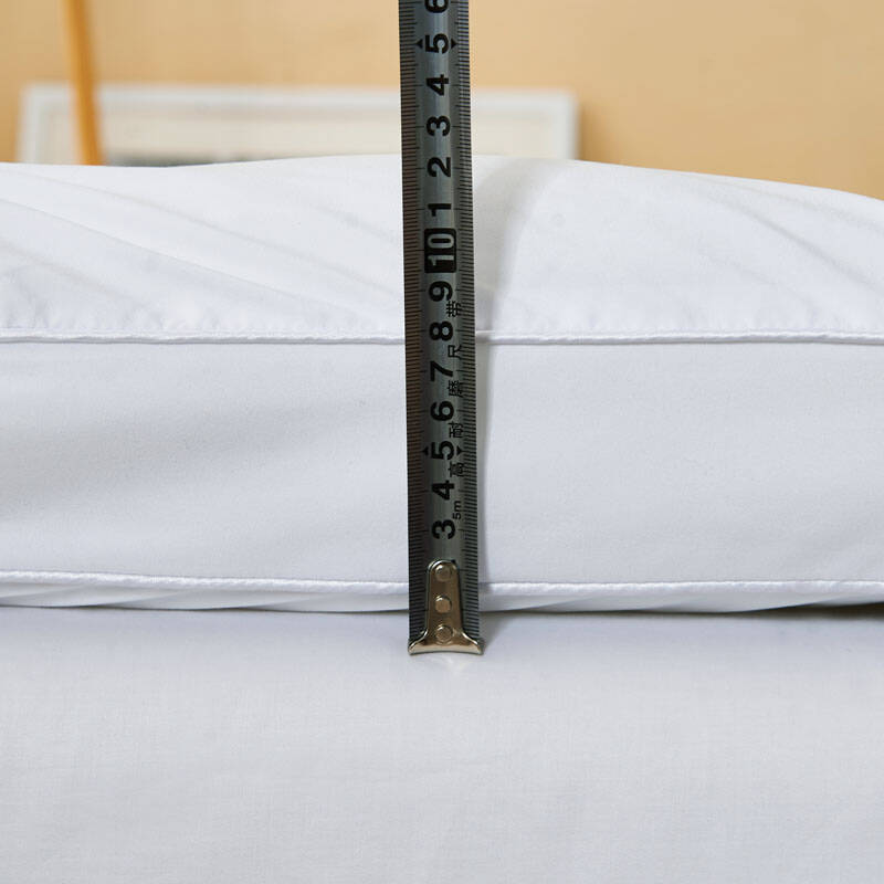 柔软羽丝绒床垫 加厚学生床褥子 绗缝席梦思床护垫子 白色-标准5cm
