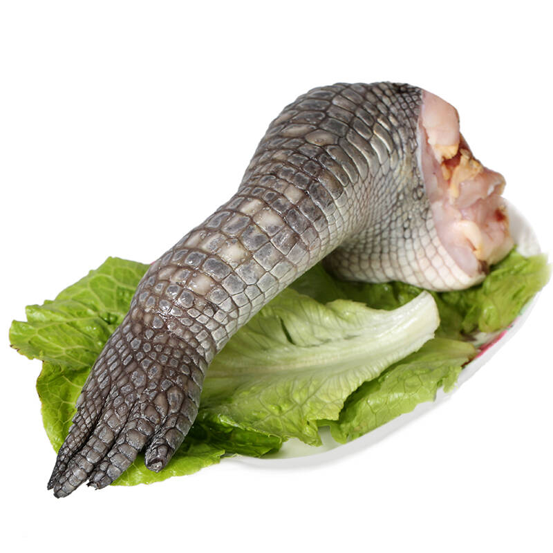 爱食派 海南鲜冻带皮鳄鱼掌 整只 500-600g 鳄鱼肉 生态养殖