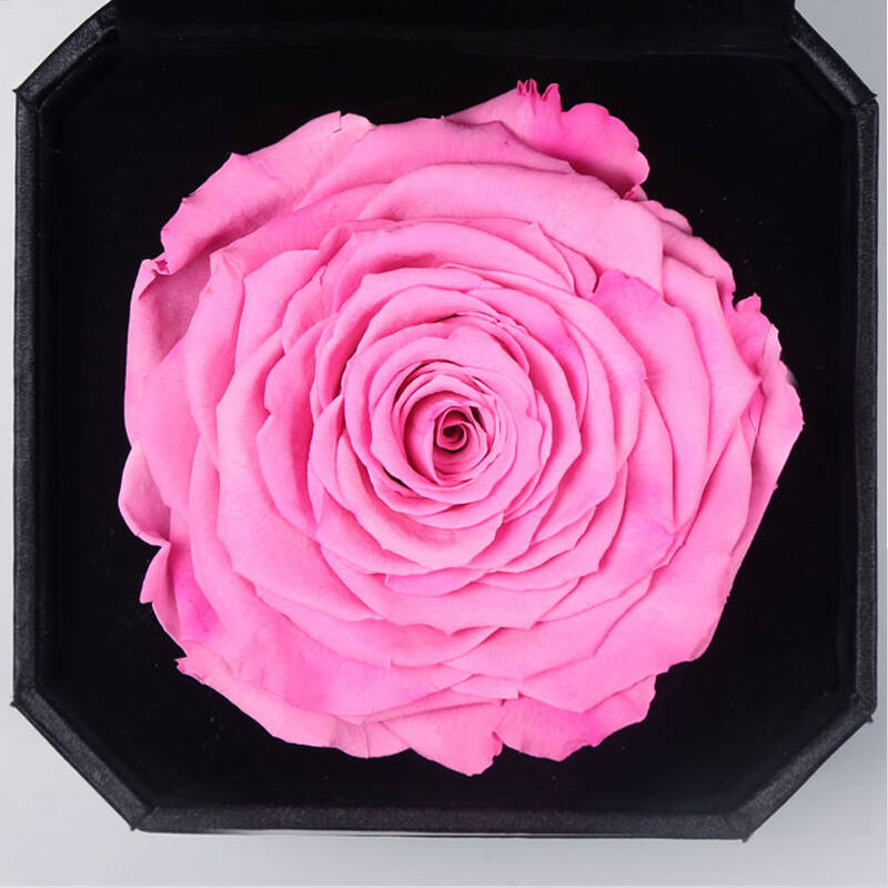 野兽派(the beast)s00310000014659巨型永生花保鲜花礼盒生日礼物